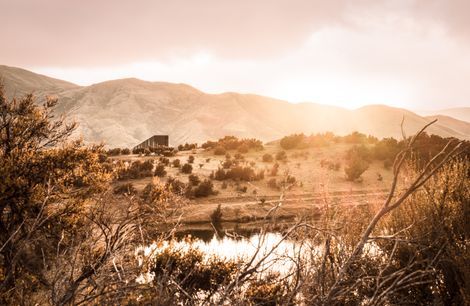 Lightforge Photography