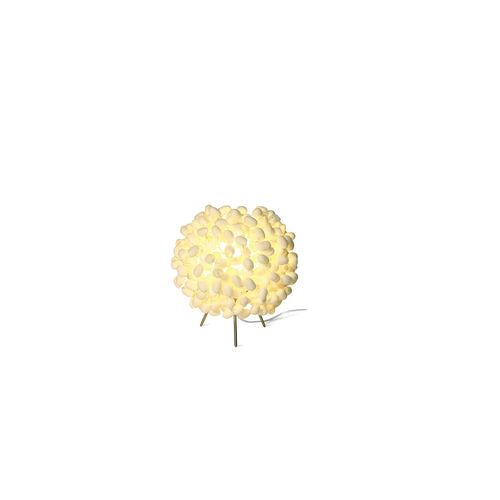 LITTLE CHRYSALIS Table Lamp by Ango