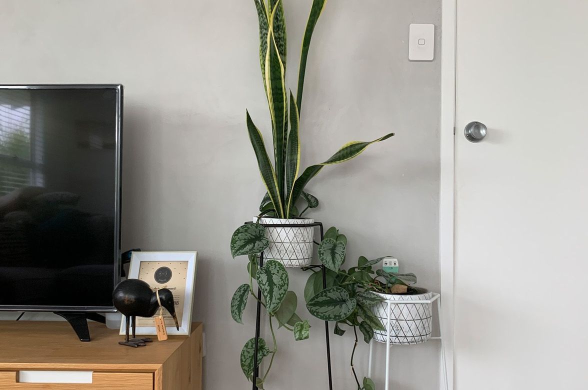 Living Room - Concrete Finish