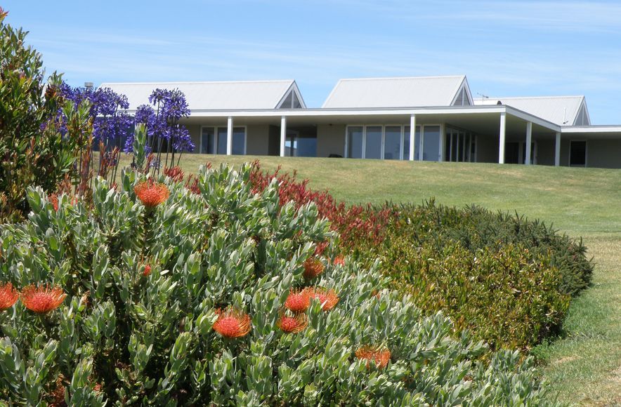 Mangawhai Garden