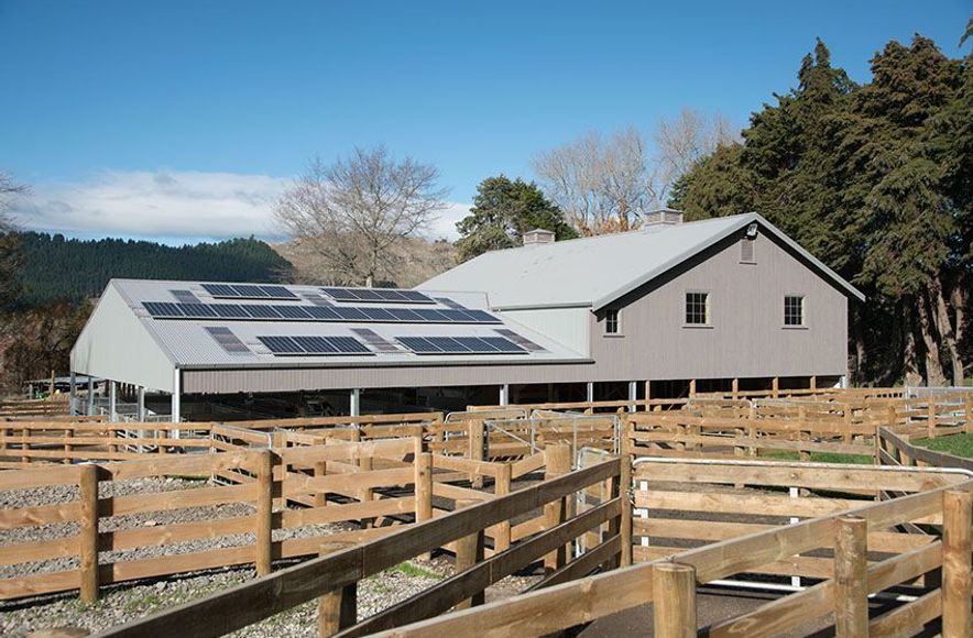Matangi Farm