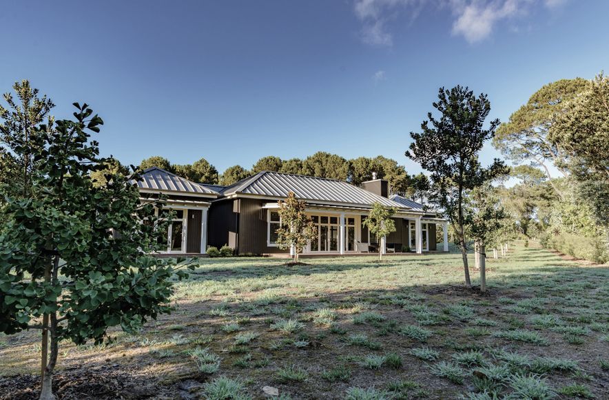 Matarangi