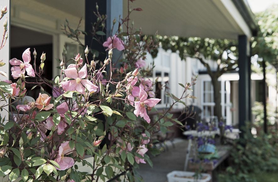 Timeless cottage