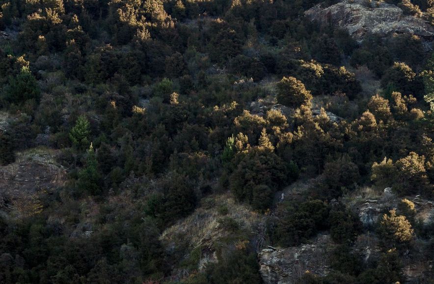 Mount Iron House