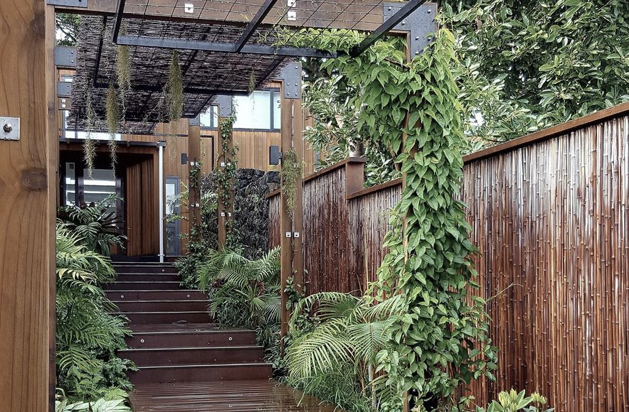 Mt Eden Garden