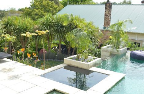 Mt Eden Garden and Pool