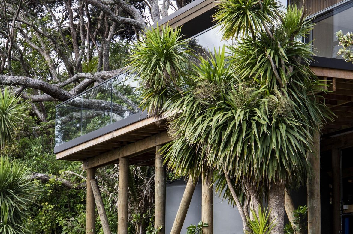Muriwai