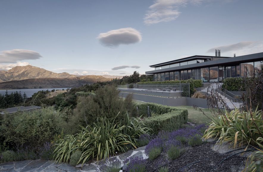 The Dasha | Eliska Lewis Architect