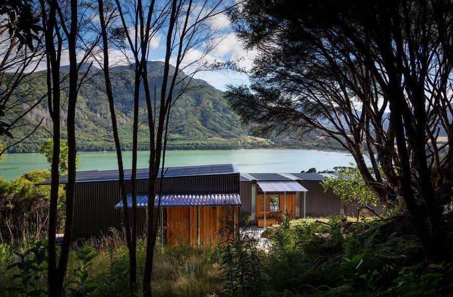 Ngāhere Hou
