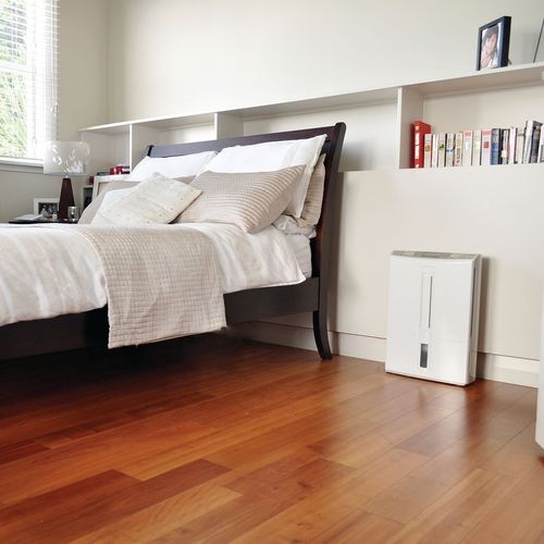 Oasis Multi Functional Dehumidifier
