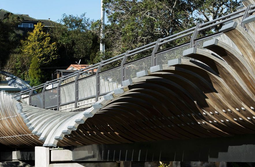 Onepoto Cycleway