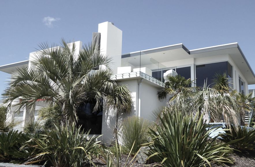 Palm Tree House