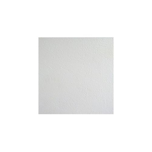 Plaster Painter Brick