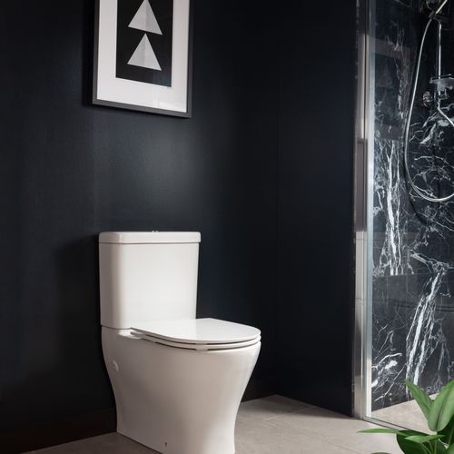 Reach II Back to Wall Toilet Suite