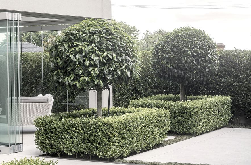 Remuera House IV
