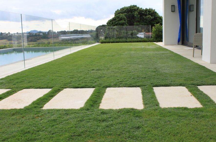 Remuera Pool Project
