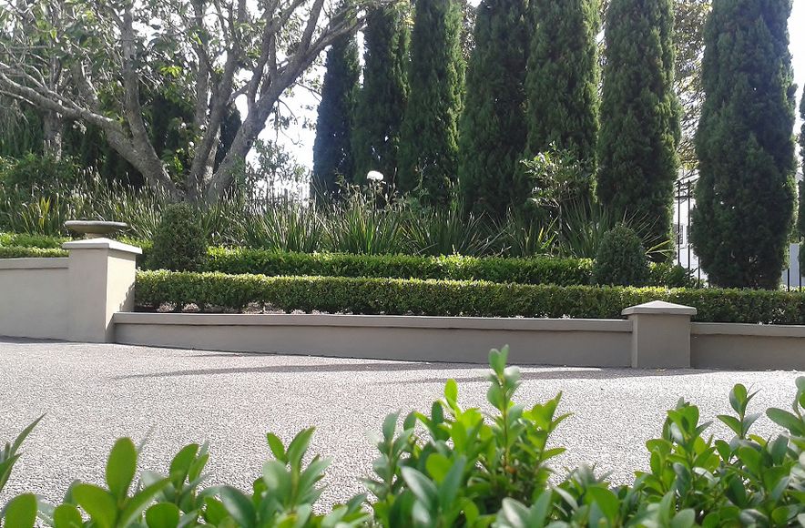 Remuera | Auckland