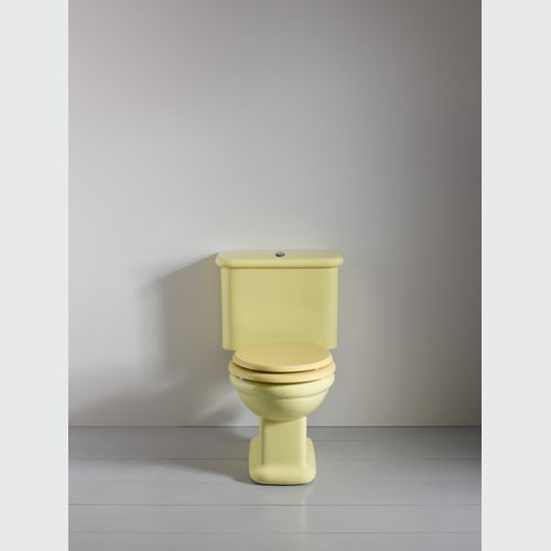 Rockwell Toilet With Close Coupled Cistern Pan