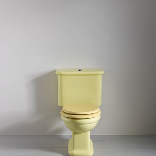Rockwell Toilet With Close Coupled Cistern Pan