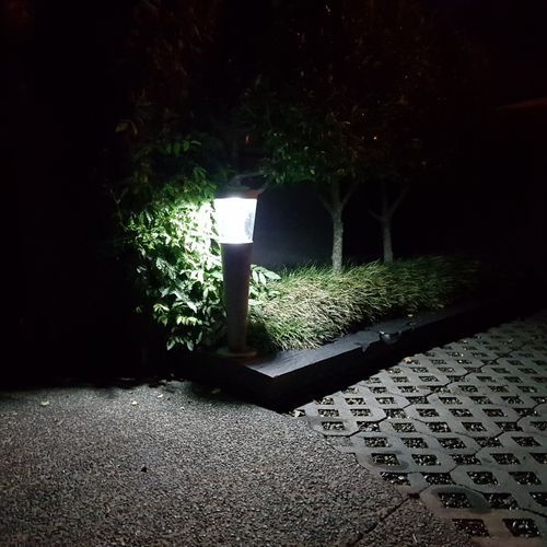 Sentry Solar Bollard 018