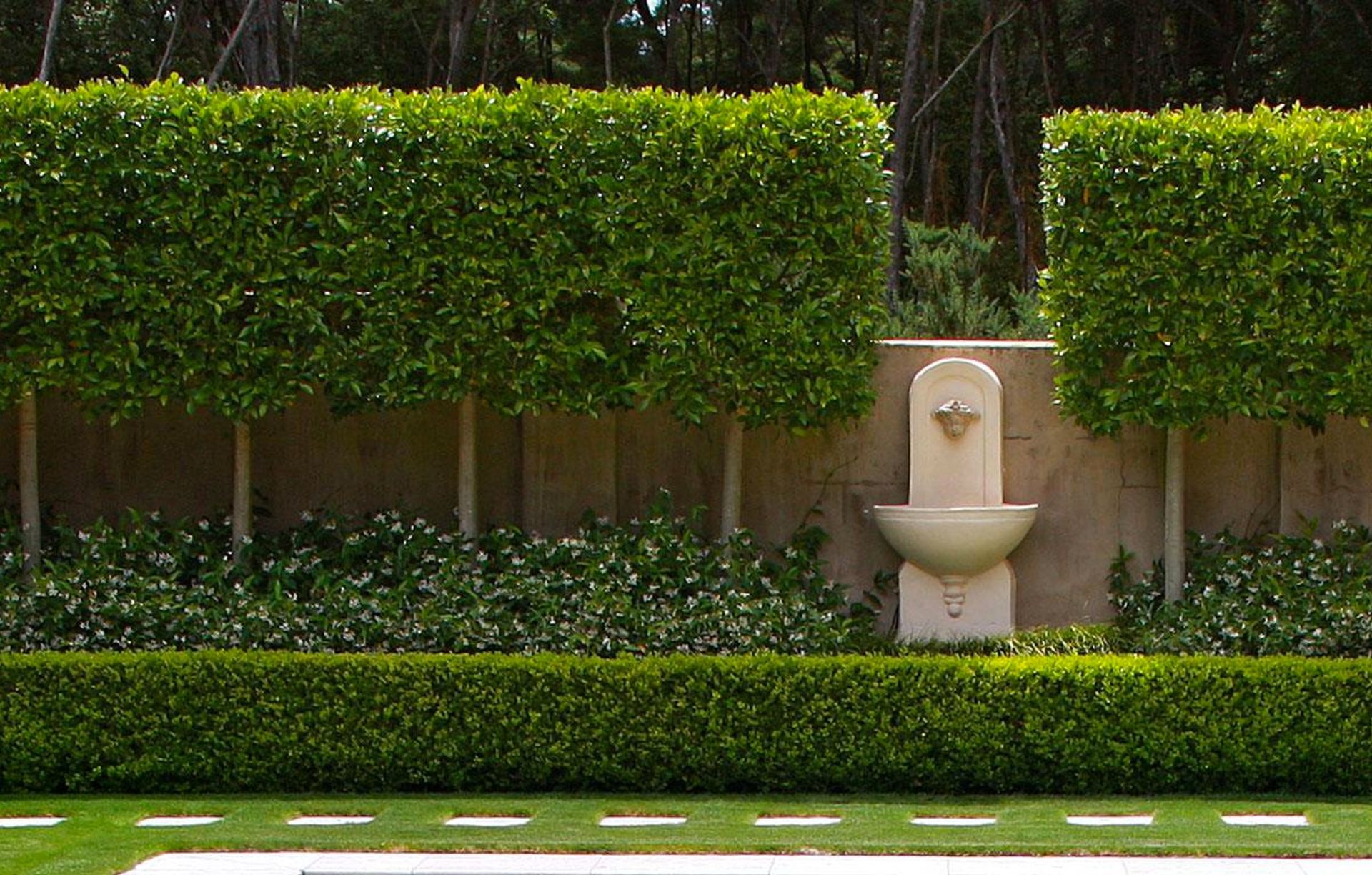 Shafer Design Studio