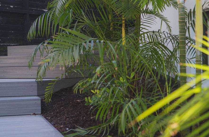 St Heliers Renovation