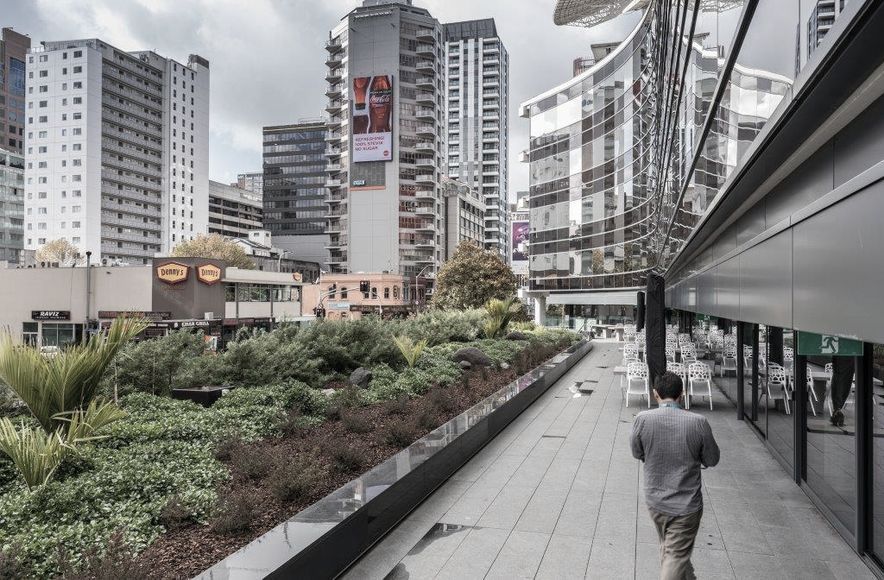 TVNZ Auckland