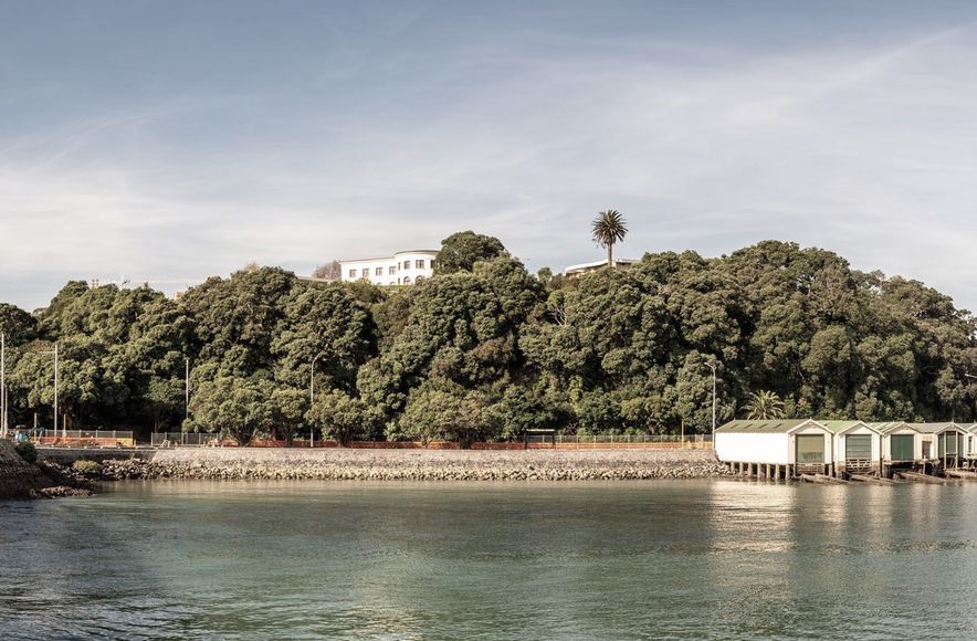 Tamaki Drive sea wall