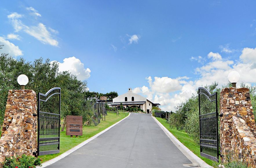Tantalus Winery