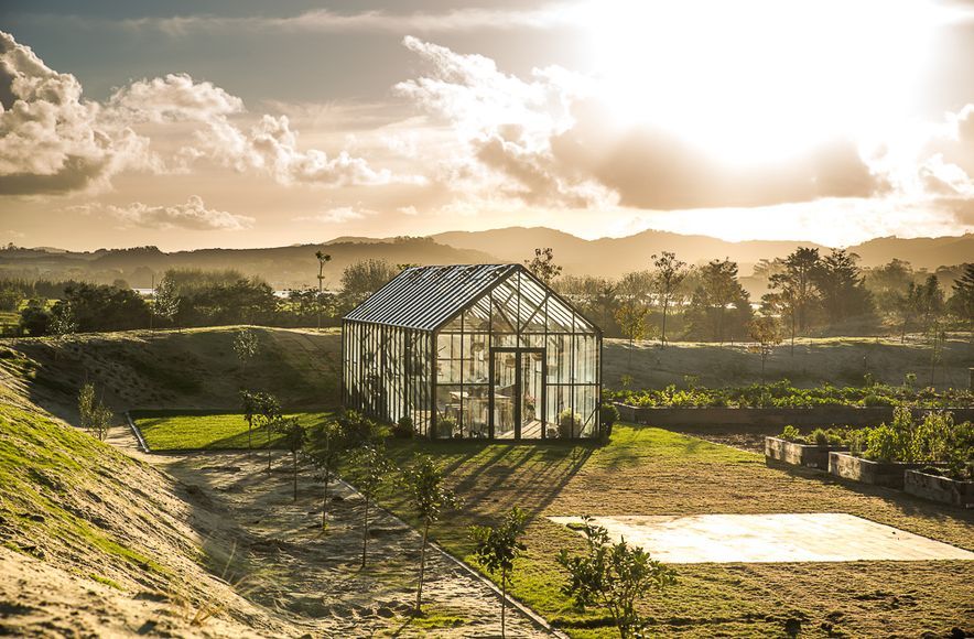 Tara Iti Glasshouse