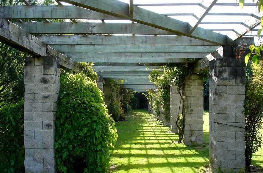 Taupo Garden