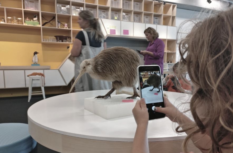 Te Papa Learning Hub