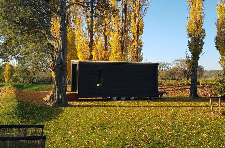 The Cabin
