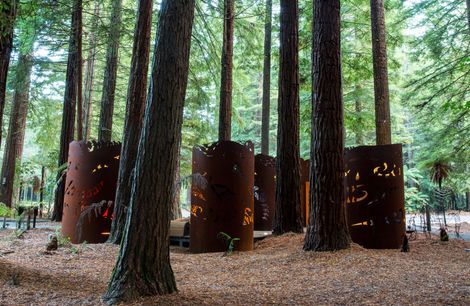 The Redwoods Toilets