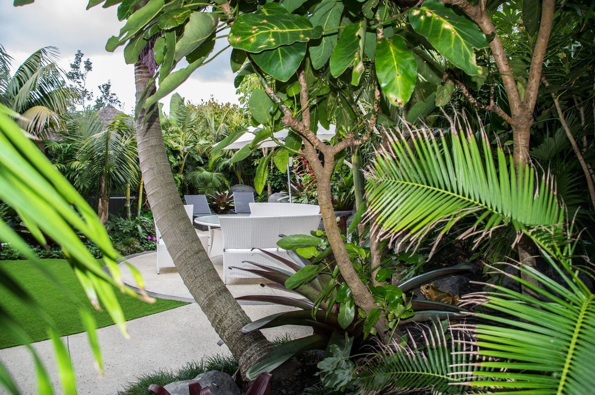 Tropical Delight, Mairangi Bay