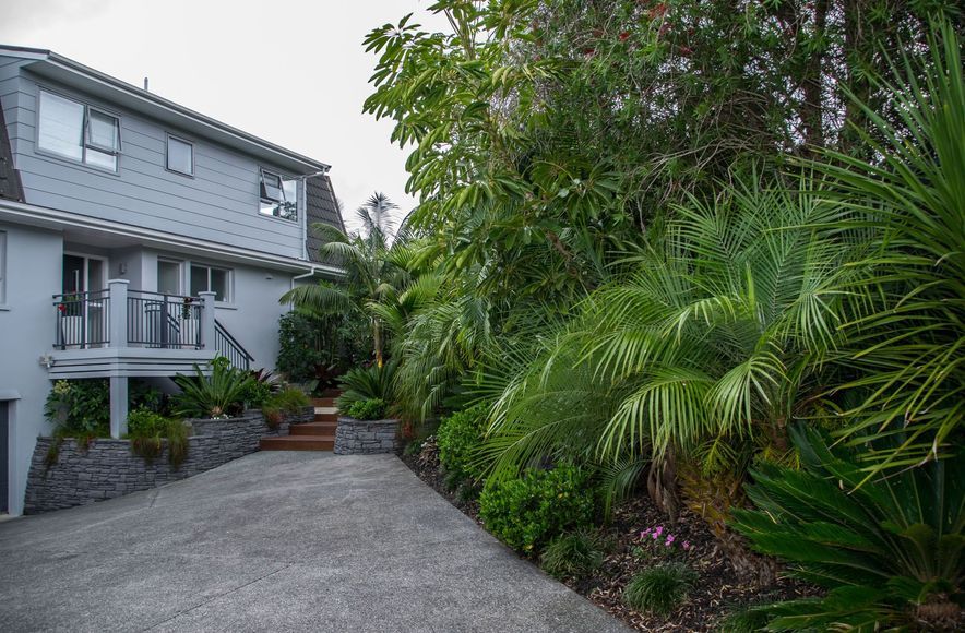 Tropical Delight, Mairangi Bay