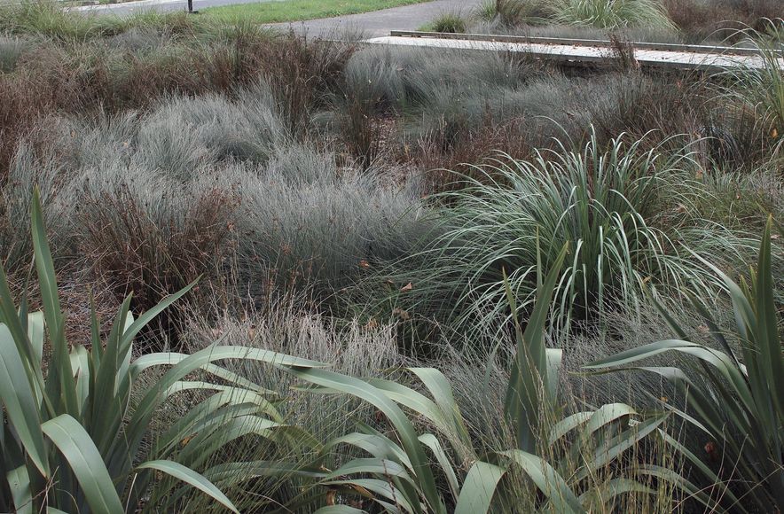 Tui Glen Reserve