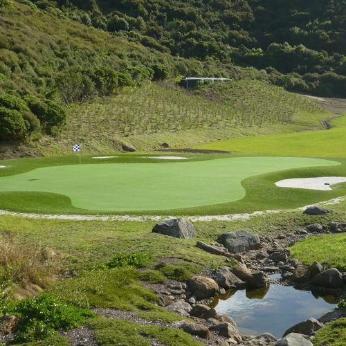 Turf for Golf Putting 
