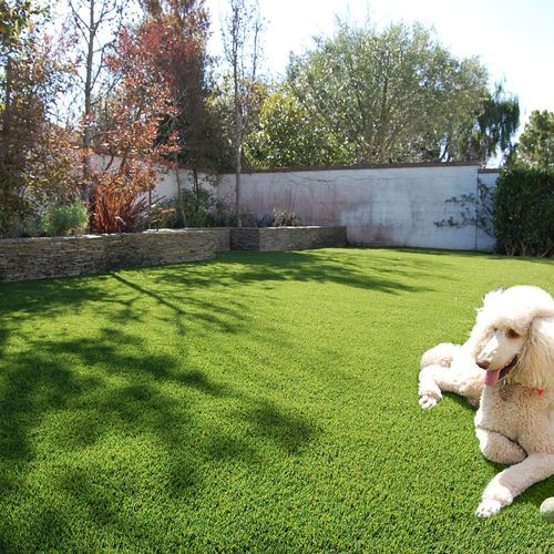 Turf for Pets