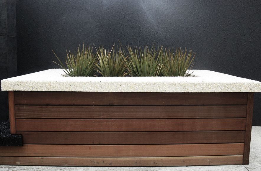 Urban Oasis
