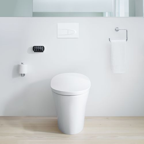 Veil Wall Faced Intelligent Toilet