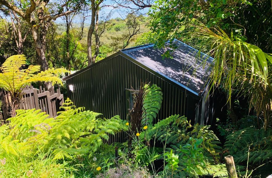 Waiheke Bush Bach
