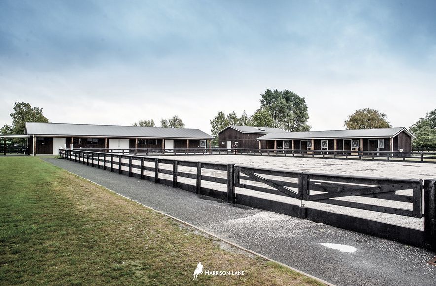 Waikato Equine Veterinary Centre