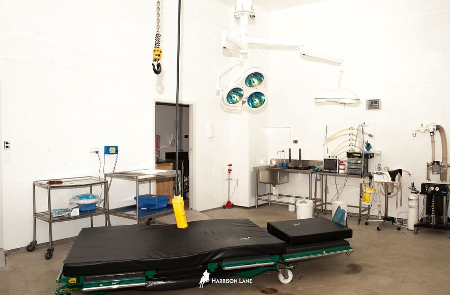 Waikato Equine Veterinary Centre