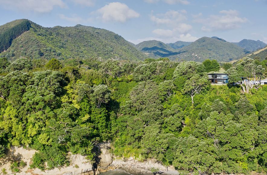 Whanarua Bay