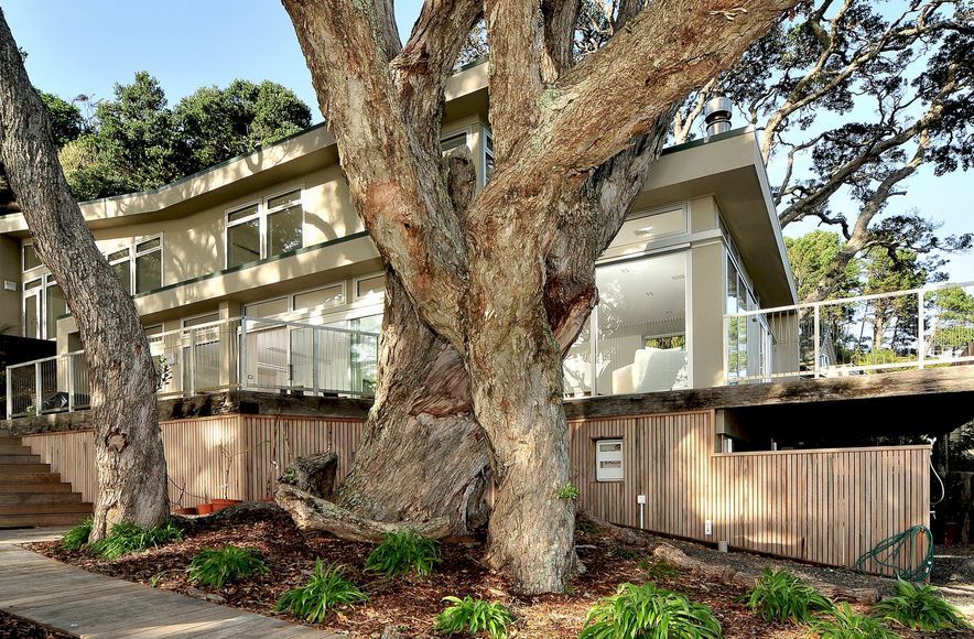 Whangapoua Beach House