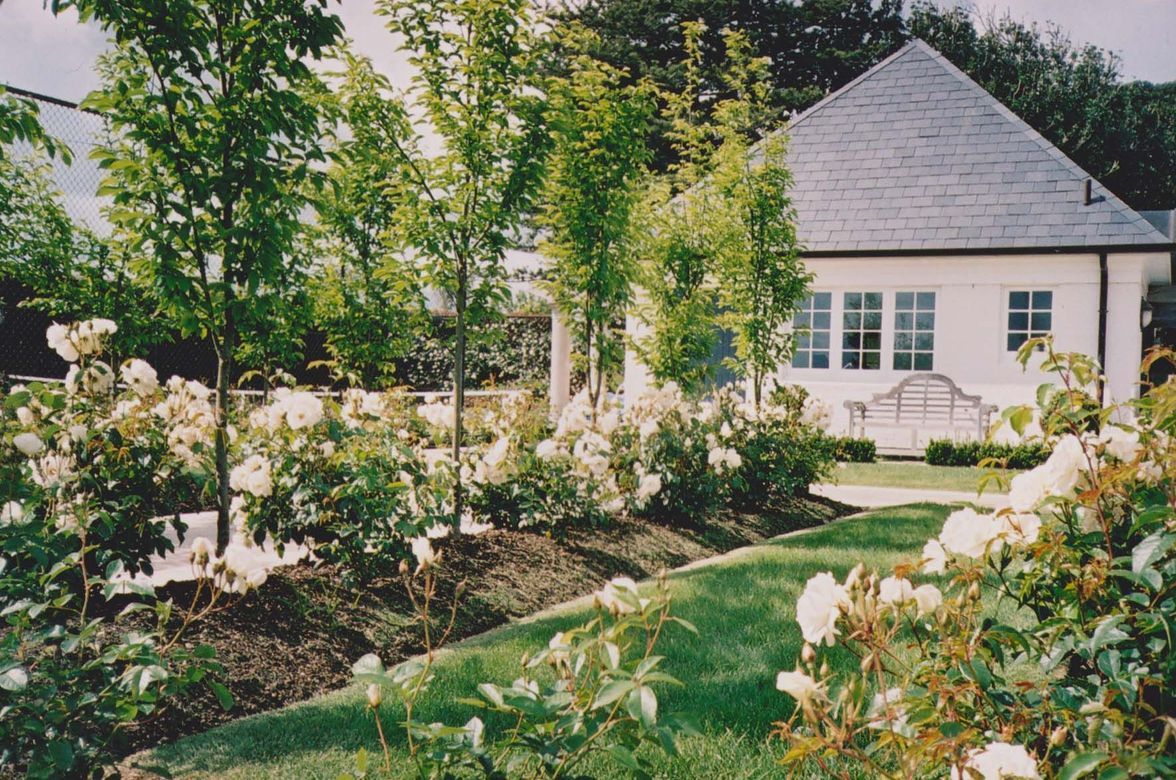 Whitford Estate | Auckland