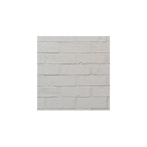 Wirecut Painter Brick