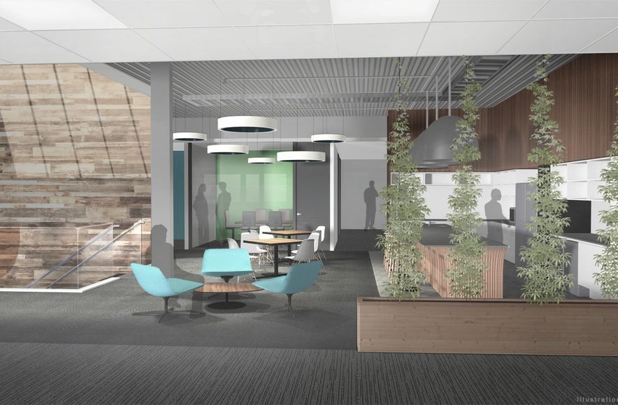 Xero Office
