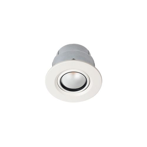 ZELA Fire Rated Tilt Downlight